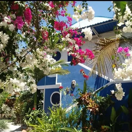 Apartamento Casa Maiana Sámara Exterior foto